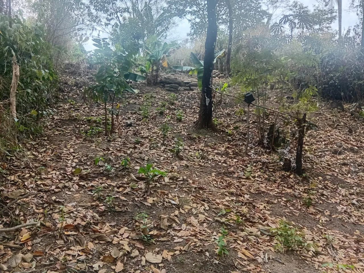 Terreno preço abaixo do mercado