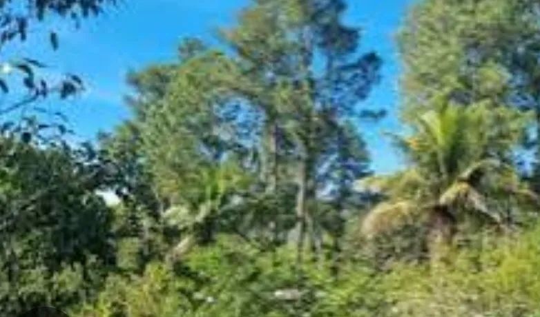 Foto - Maricá - Araçatiba