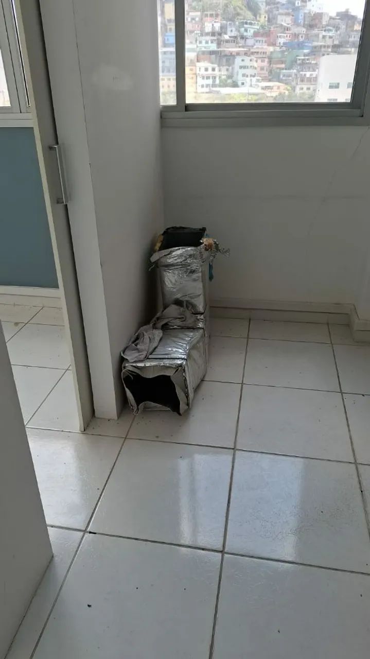 Celular