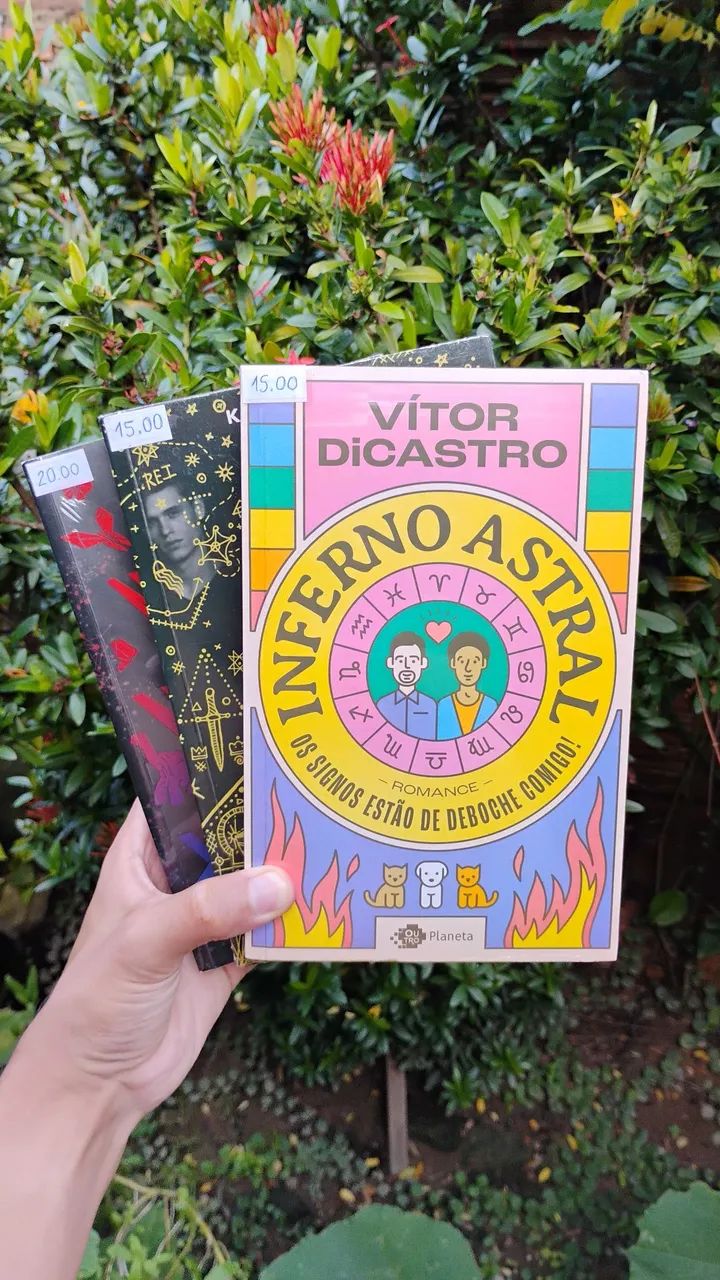 Kit livros