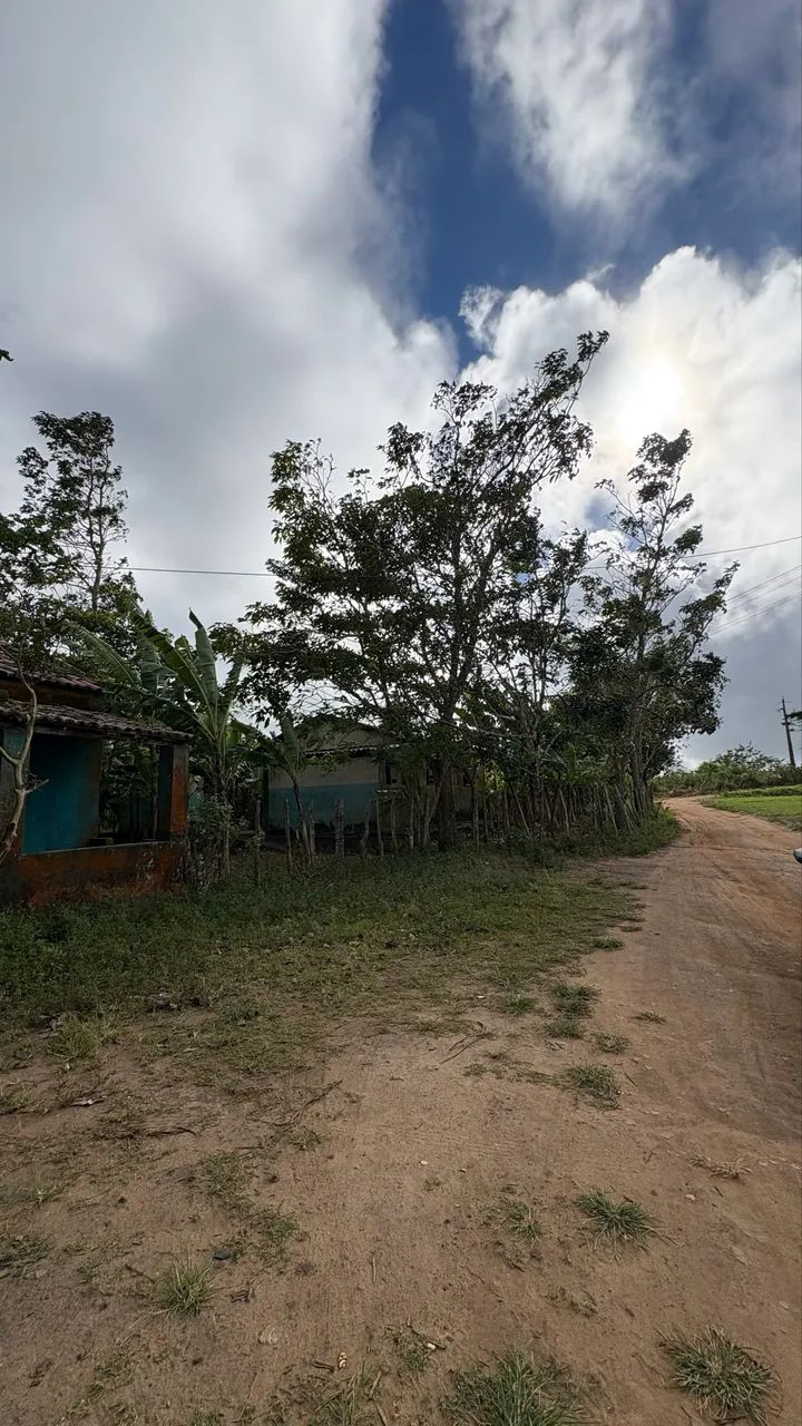 SÍTIO À VENDA - 2.400 m² | CHÃ DA GUABIRABA - BANANEIRAS/PB - Foto 4