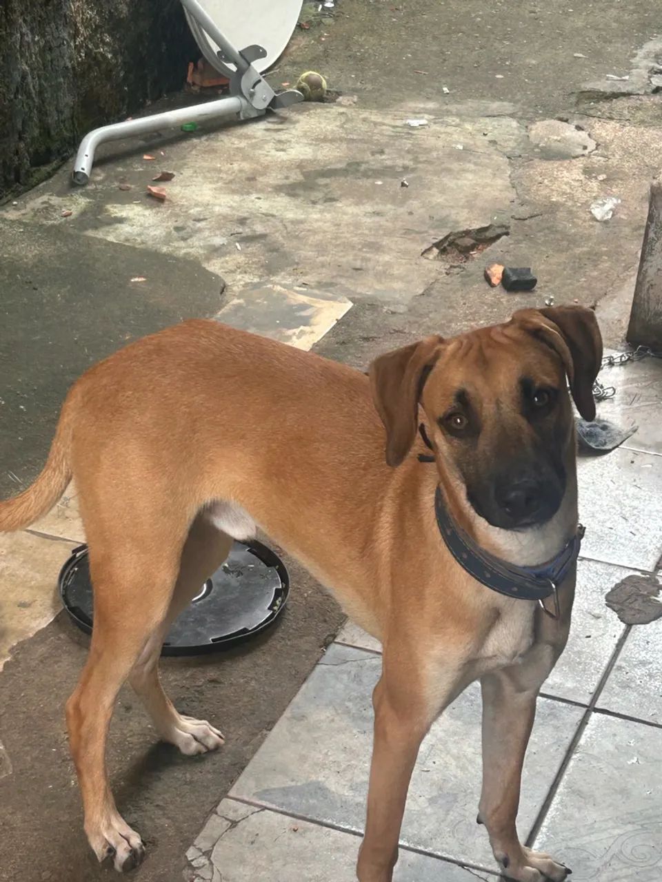 Doação  - Foto 4