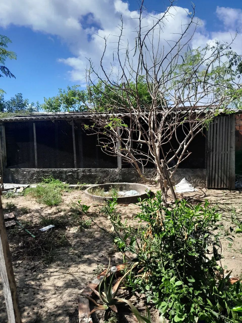 Chácara  - Foto 5