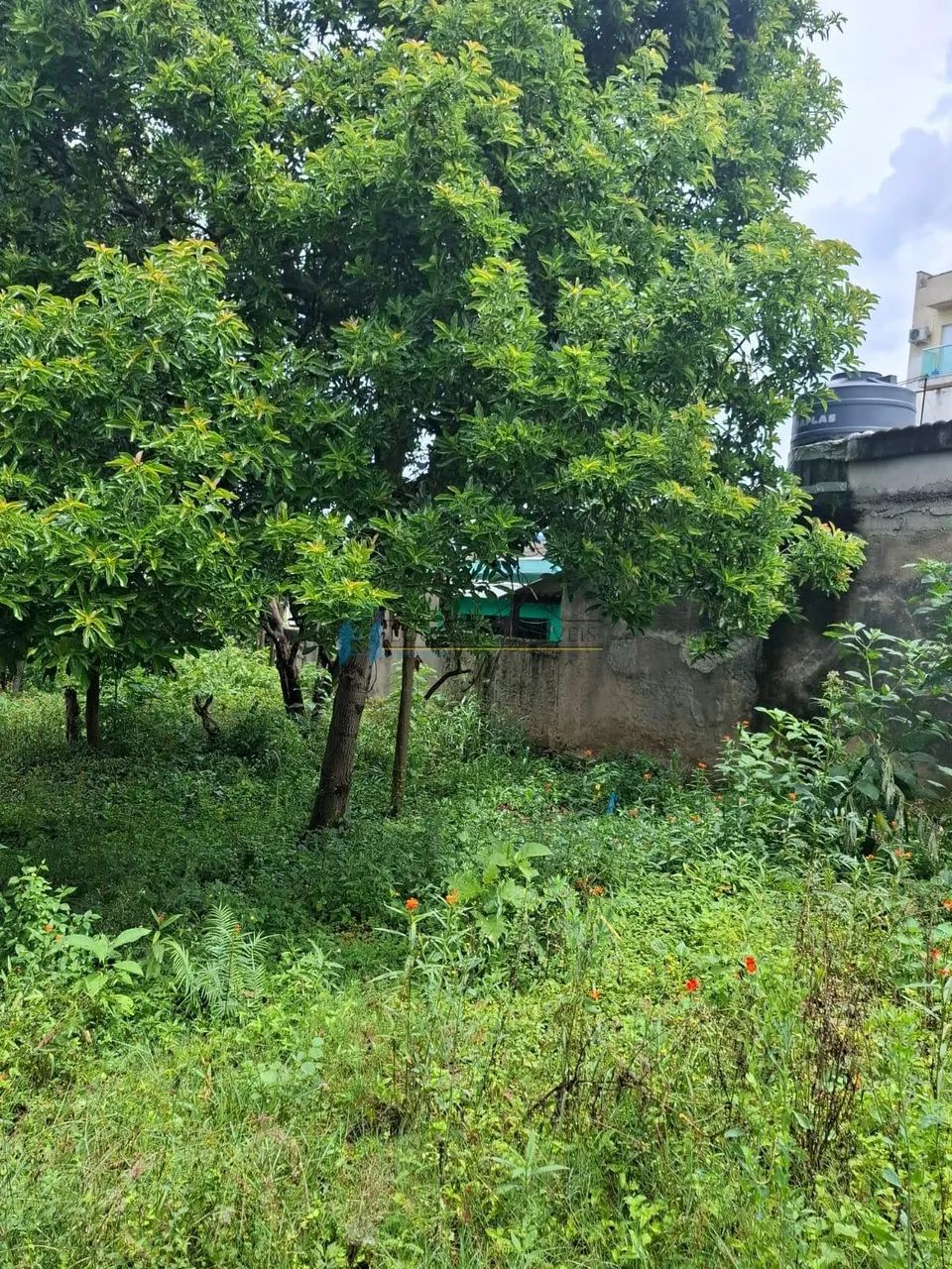 Terreno em Vila BELA - São Paulo - Foto 4