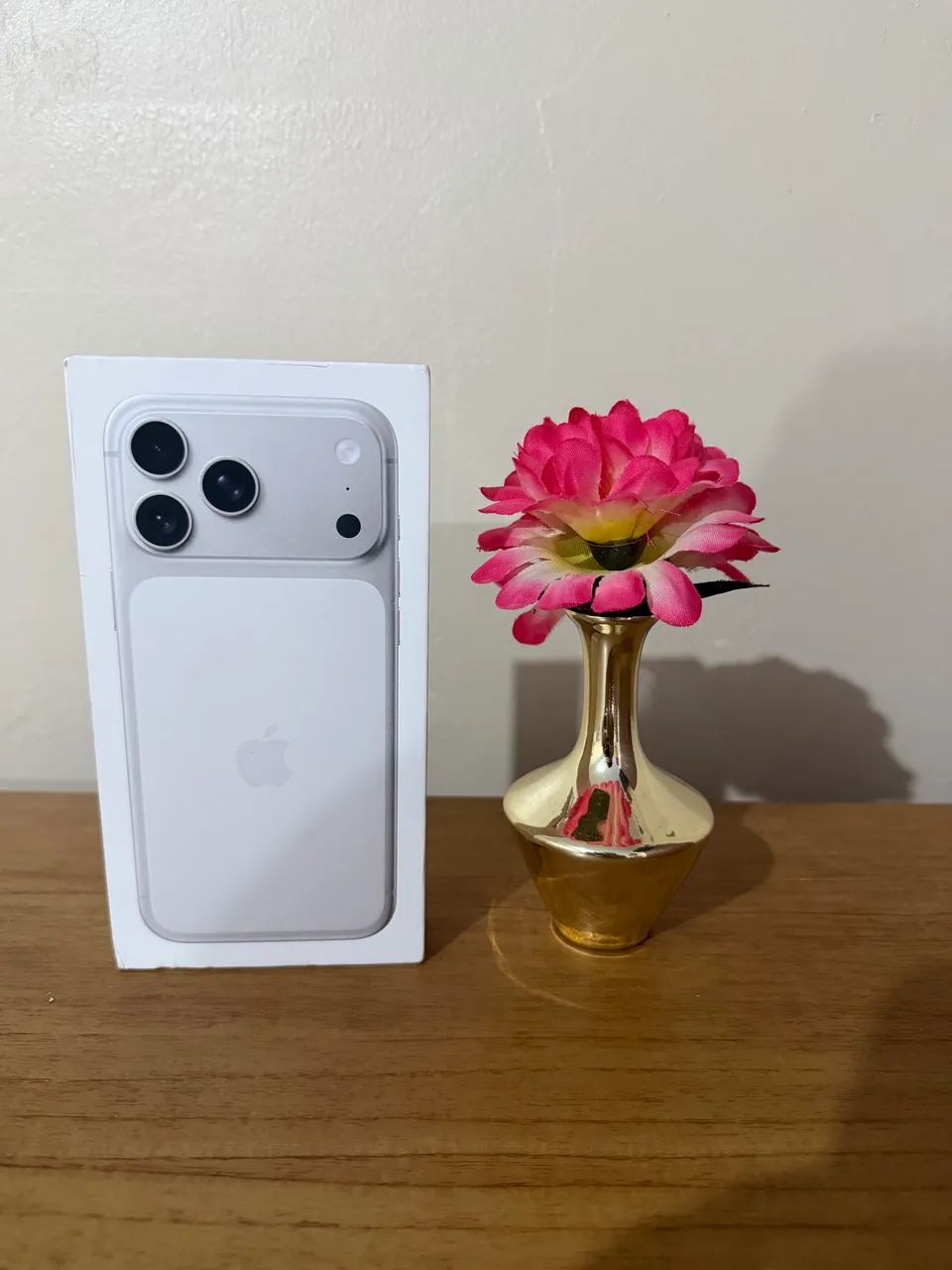 iPhone 17 pro Max 256gb Prata