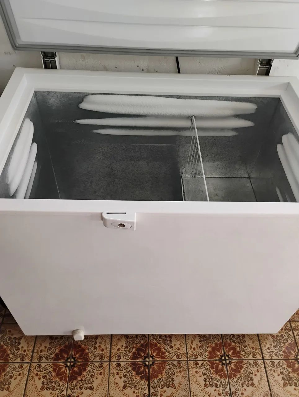 Freezer Electrolux  - Foto 2