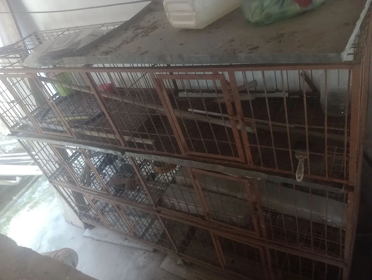 Gaiola pra aves  - Foto 3