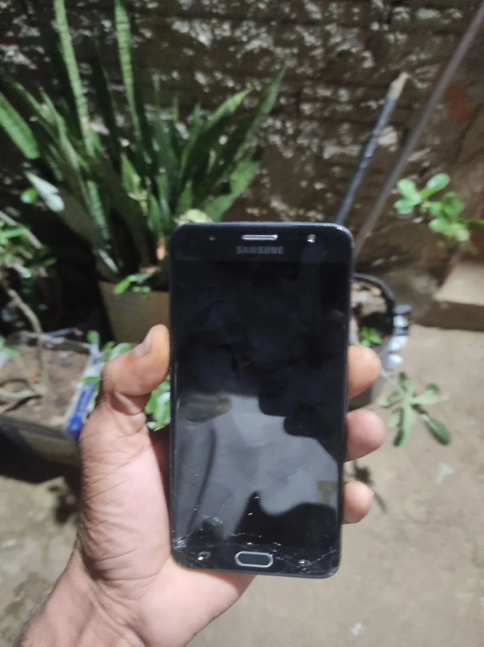 Celular
