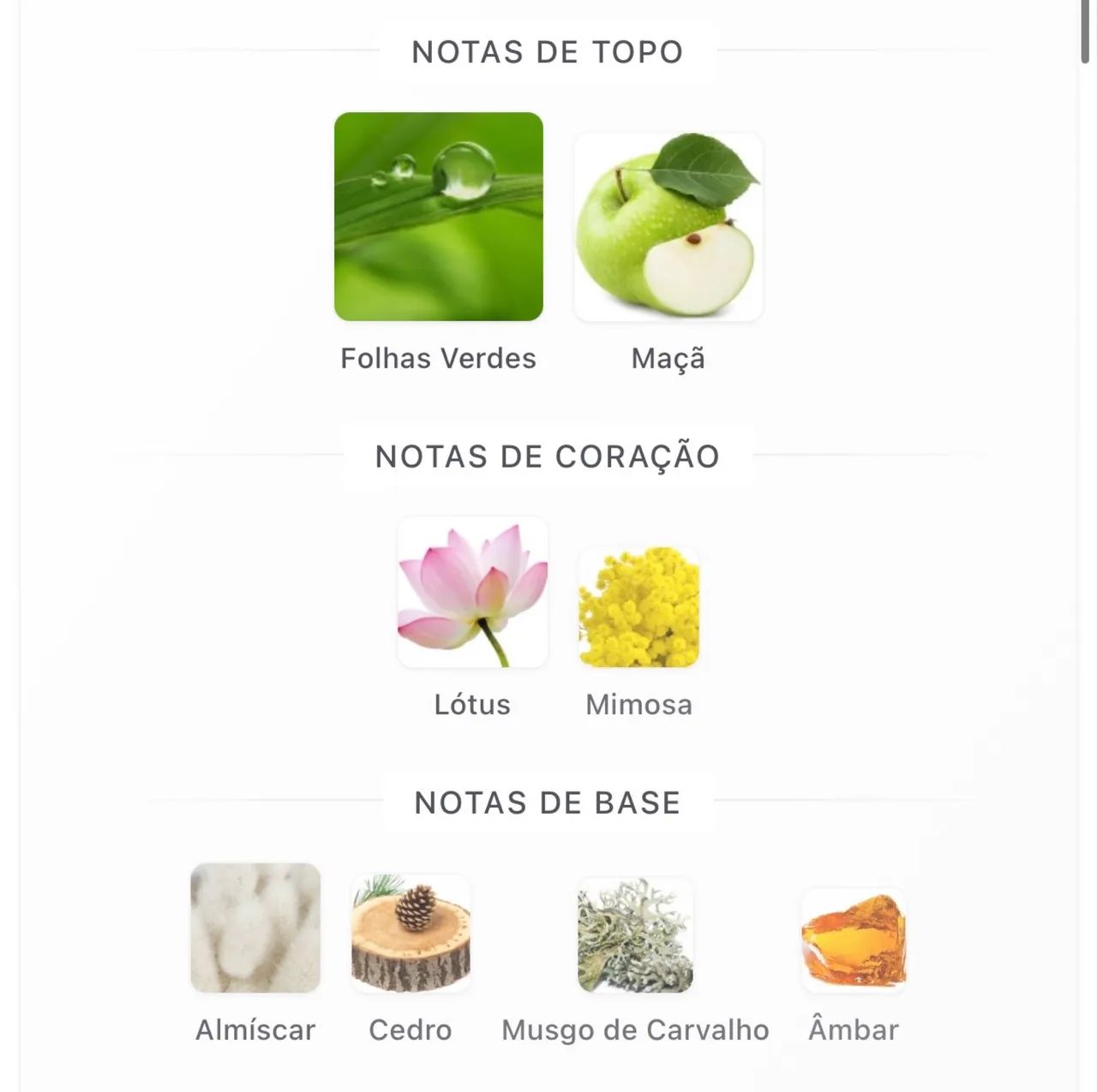 Perfume Nautica Voyage 100mL - Foto 5