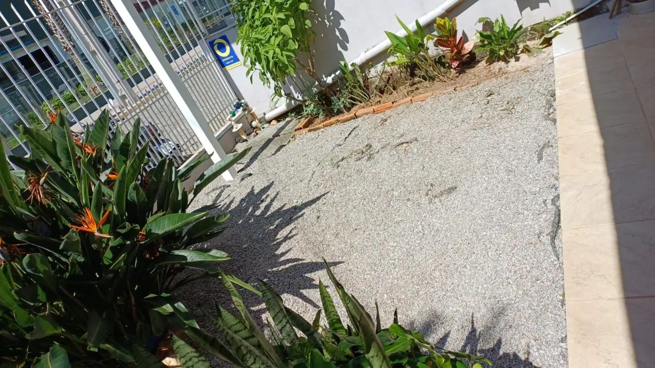 Precisando dar um trato no terreno ou no jardim? ? - Foto 5