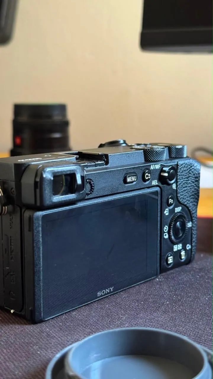 Sony a6600 