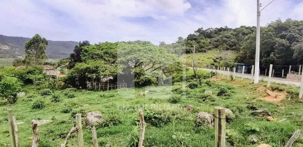 Terreno à venda no Sambaqui - Foto 4