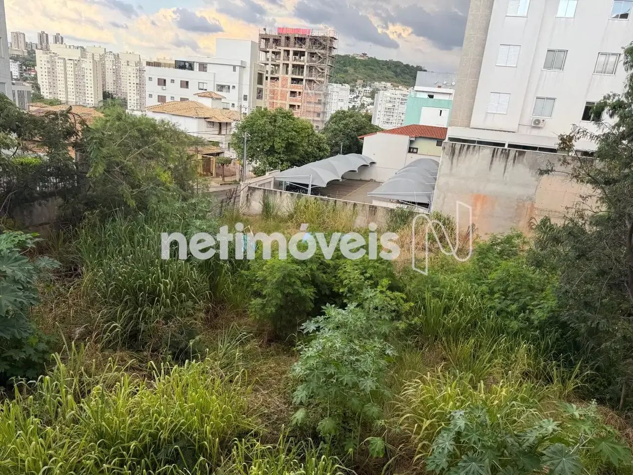 Excelente lote de 420m²; no Castelo - Foto 3