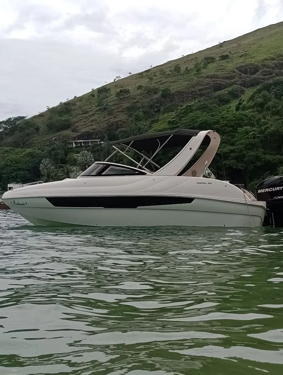 Coral 24 