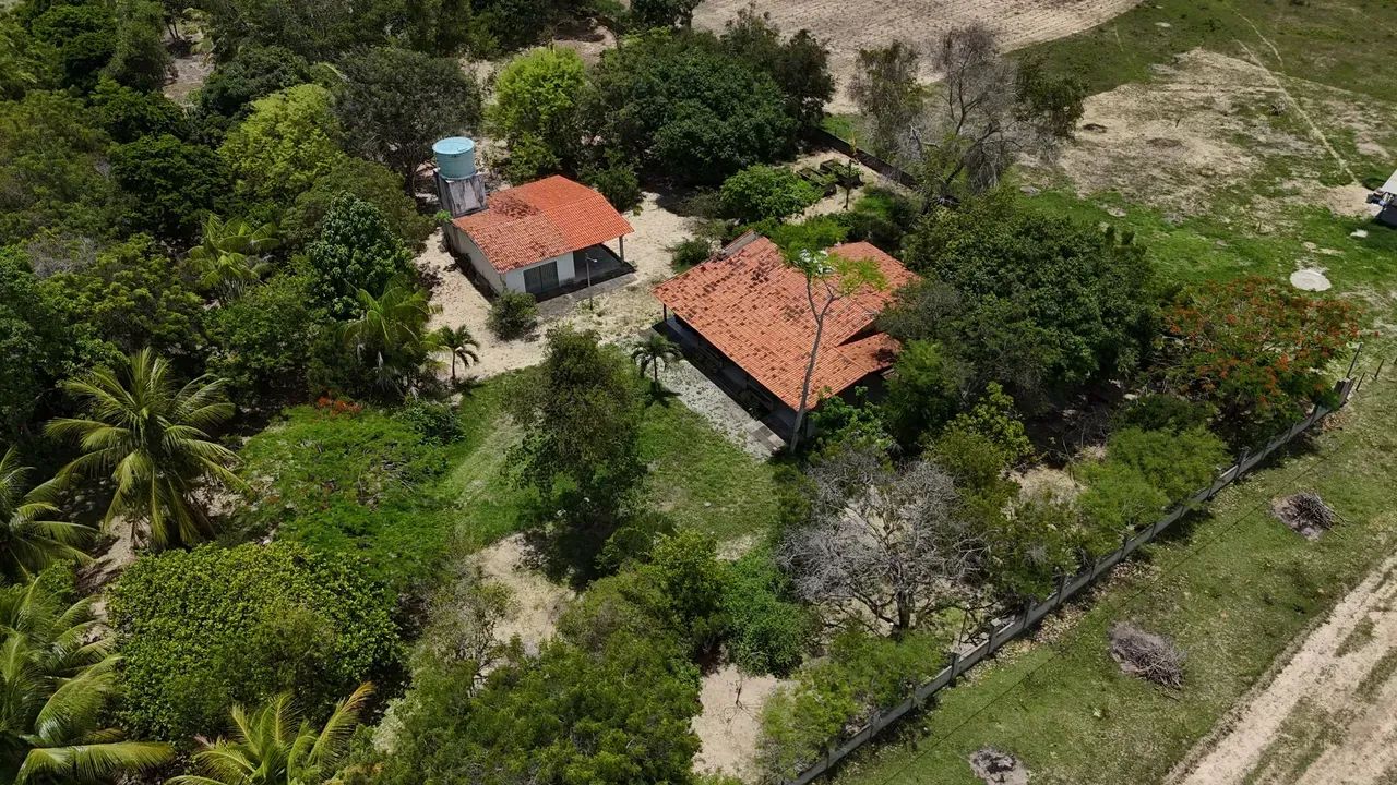 granja com 5 hectares na melhor região de Monte Alegre - Foto 2