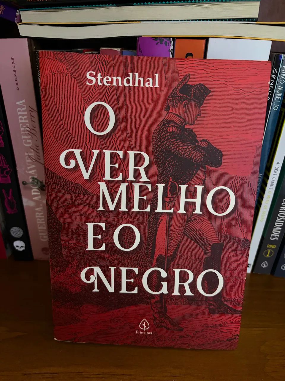 O vermelho e o negro 