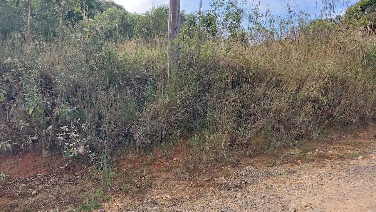 EXELENTE TERRENO JARDIM CANANÉIA  - Foto 2