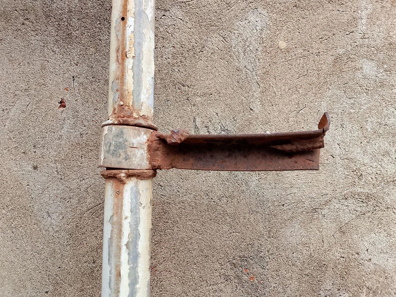 Portão  - Foto 3