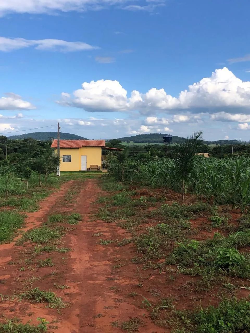 Chácara em piracanjuba 6.000m2 (Aceita troca) - Foto 4