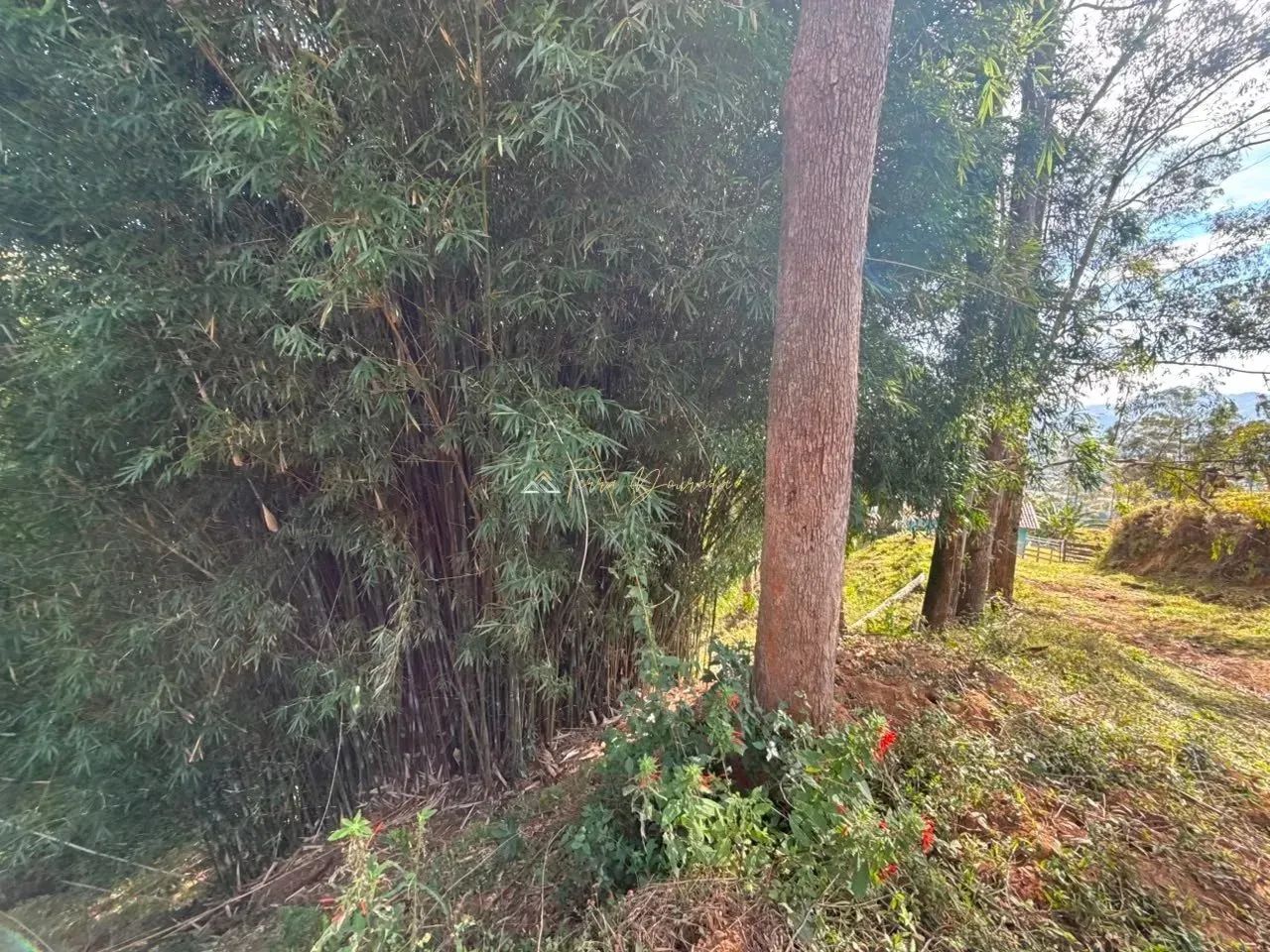 TERRENO À VENDA | BAIRRO DO SERRANO  SÃO BENTO DO SAPUCAÍ/SP - Foto 3