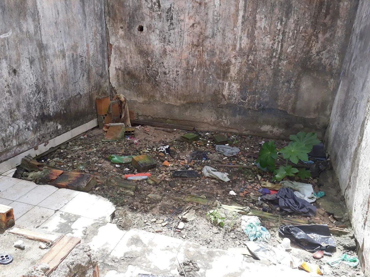 TERRENO MURADO - Foto 4