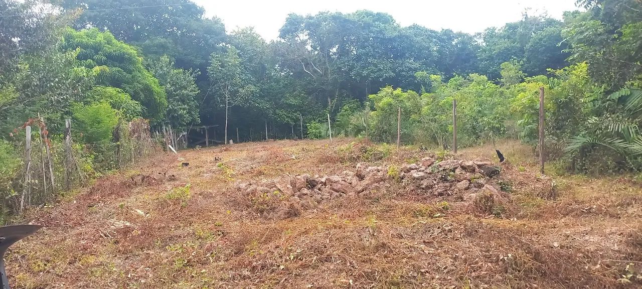 Vendo terreno no sta maria  - Foto 4