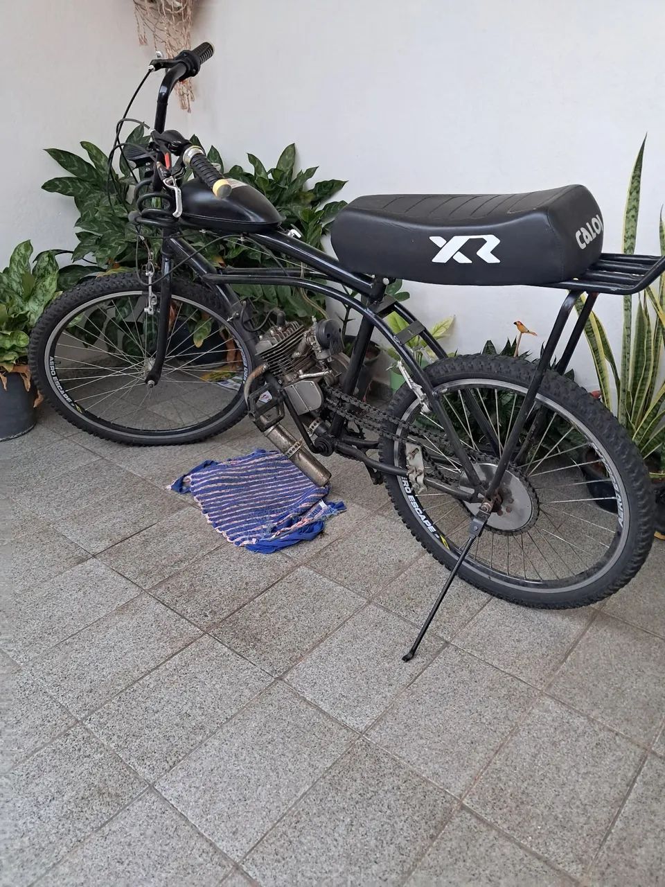 Bicicleta motorizada