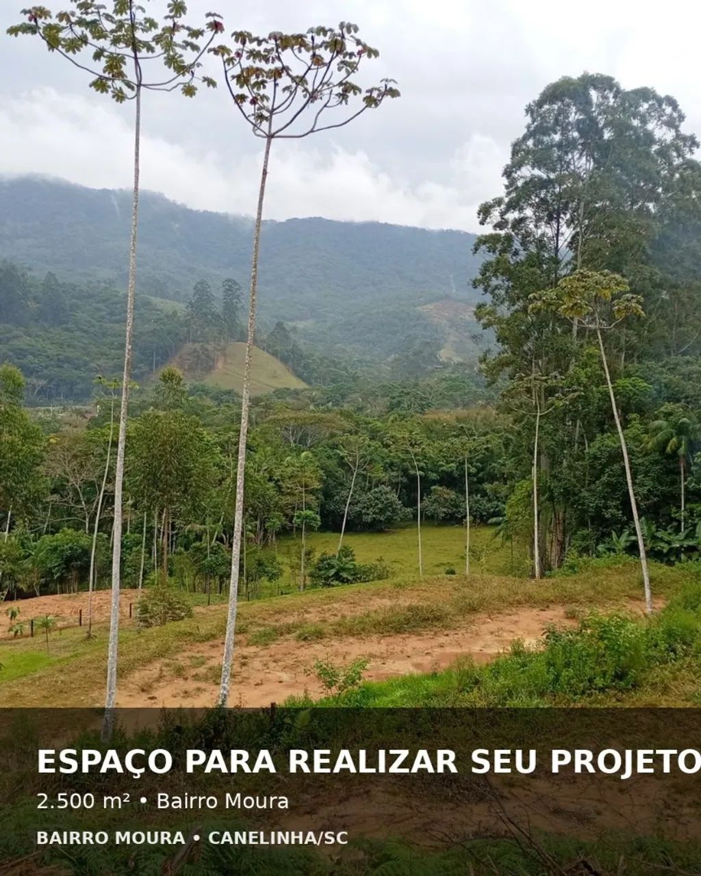 Terreno com Vista privilegiada em CANELINHA -SC - Foto 4