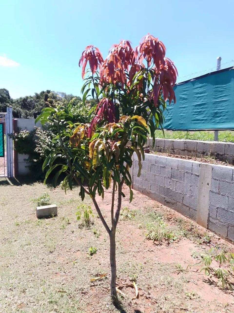 Chácara a venda Ponte Alta , Atibaia 