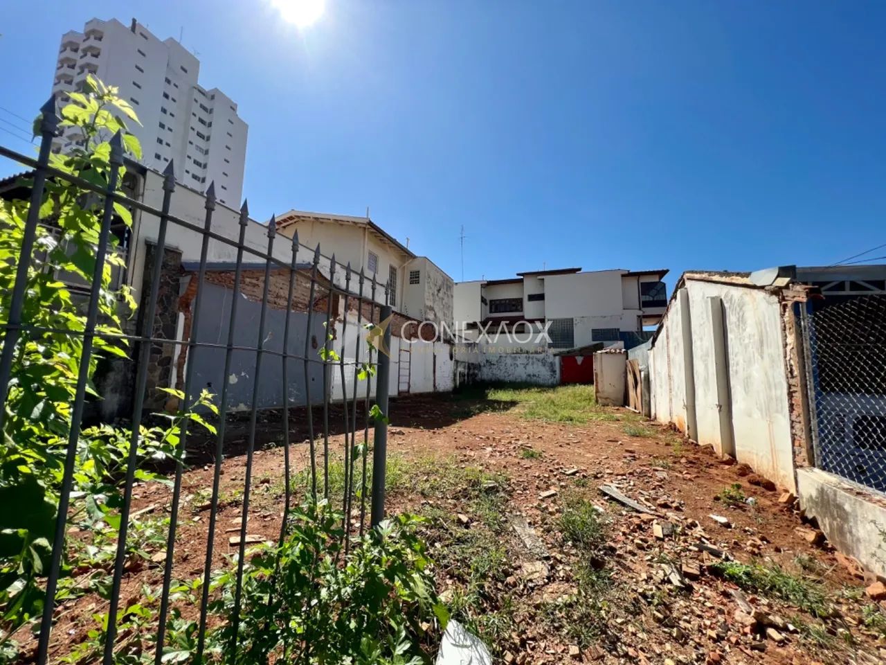 terreno - Taquaral - Campinas - Foto 3