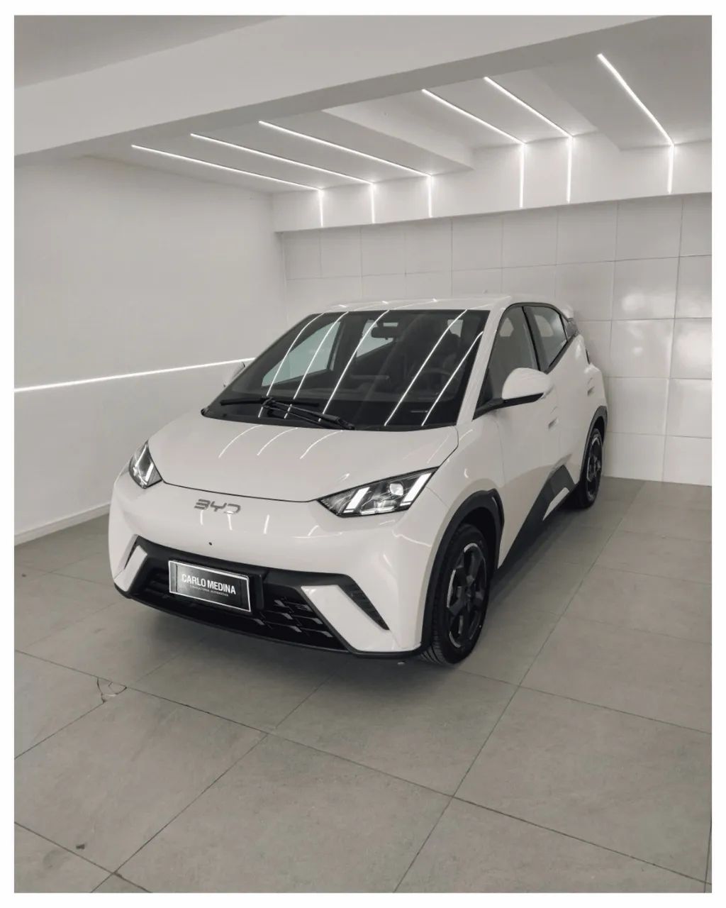 BYD Dolphin Mini (Elétrico) 2025 - Foto 4