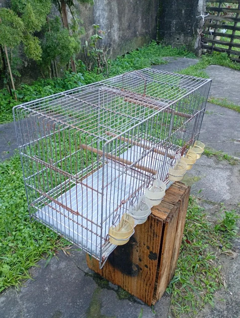 Gaiola.voadeira