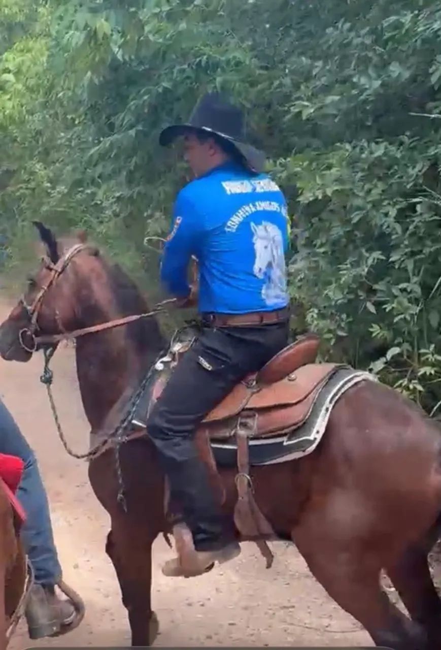 Cavalo  - Foto 2