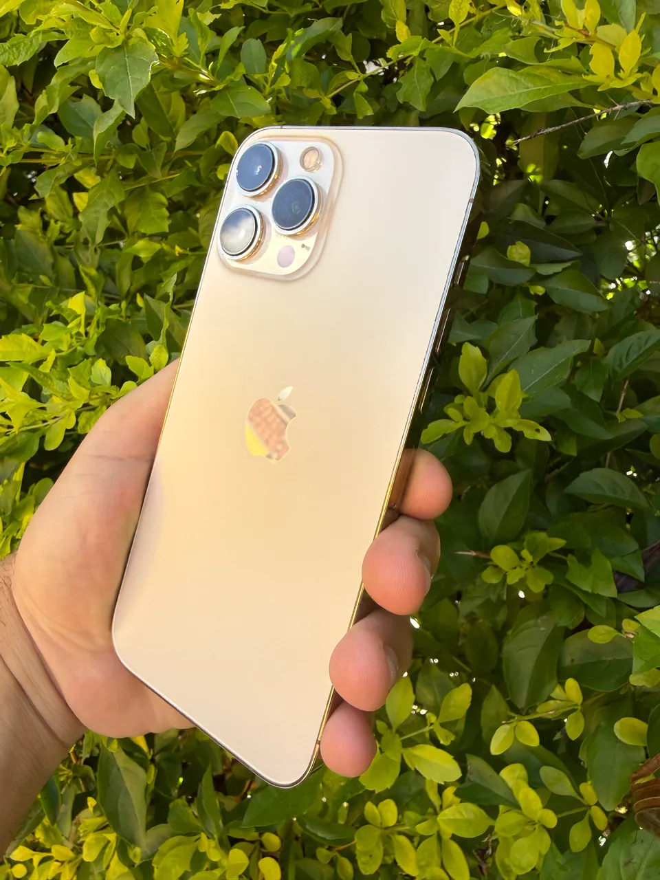 iPhone 13 Pro 128GB GOLD - Celulares e Smartphones - Jardim São