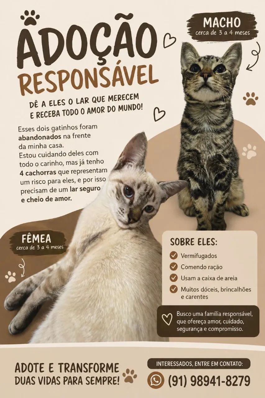 ADOÇÃO RESPONSÁVEL 