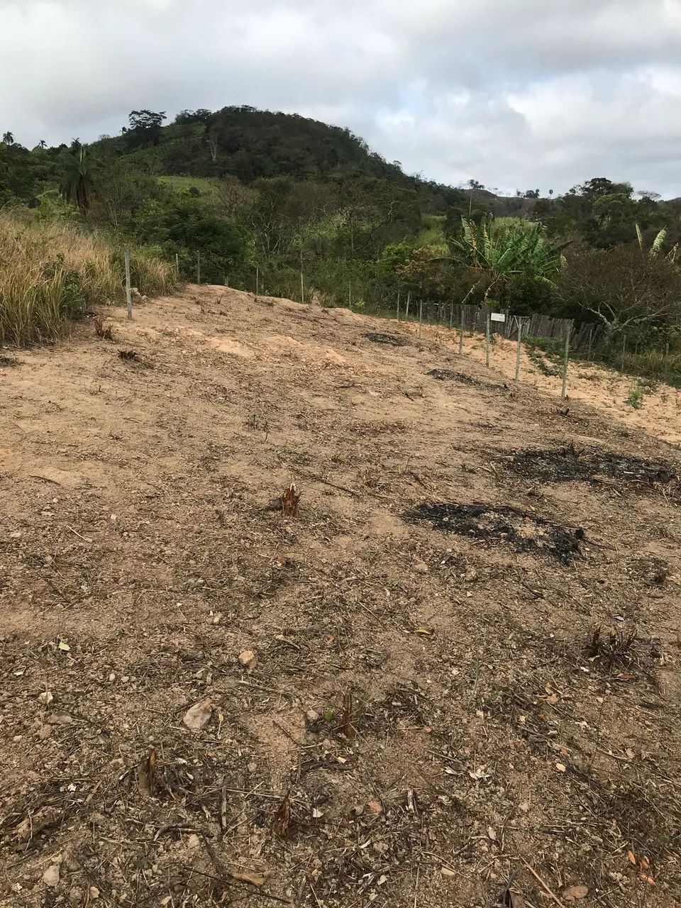 Lote 360m em nova esperança 