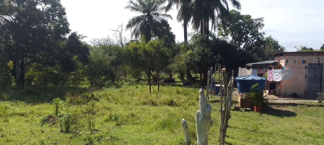 Vende-se Sítio  - Foto 4