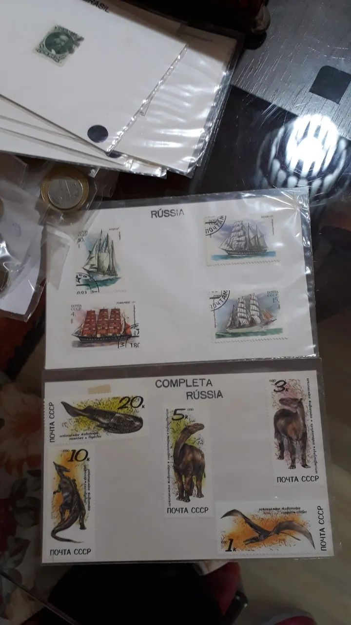 Coleção  - Foto 5