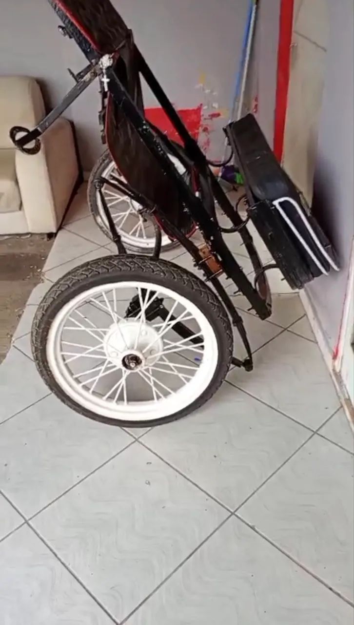 Charrete aro 21