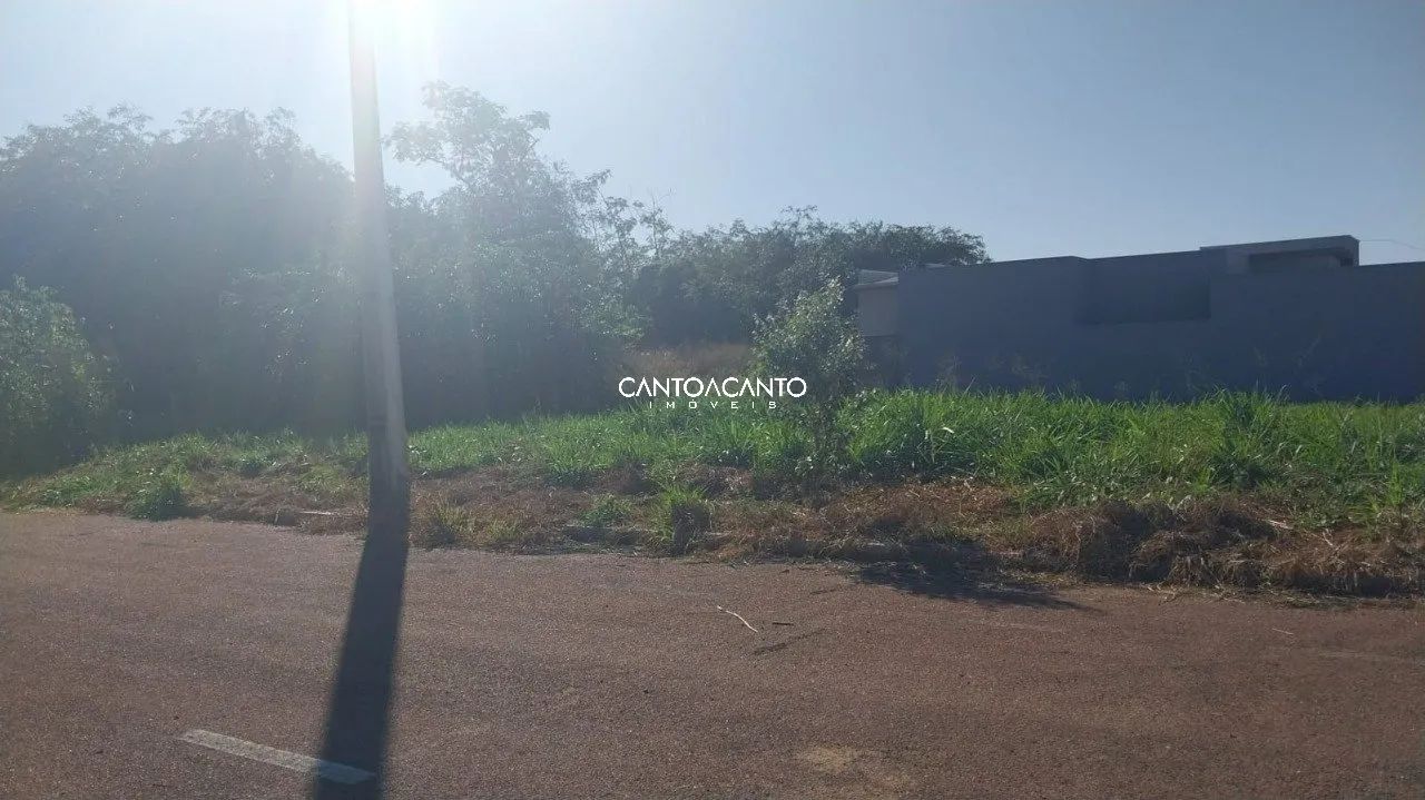 Terreno Comercial - Foto 3