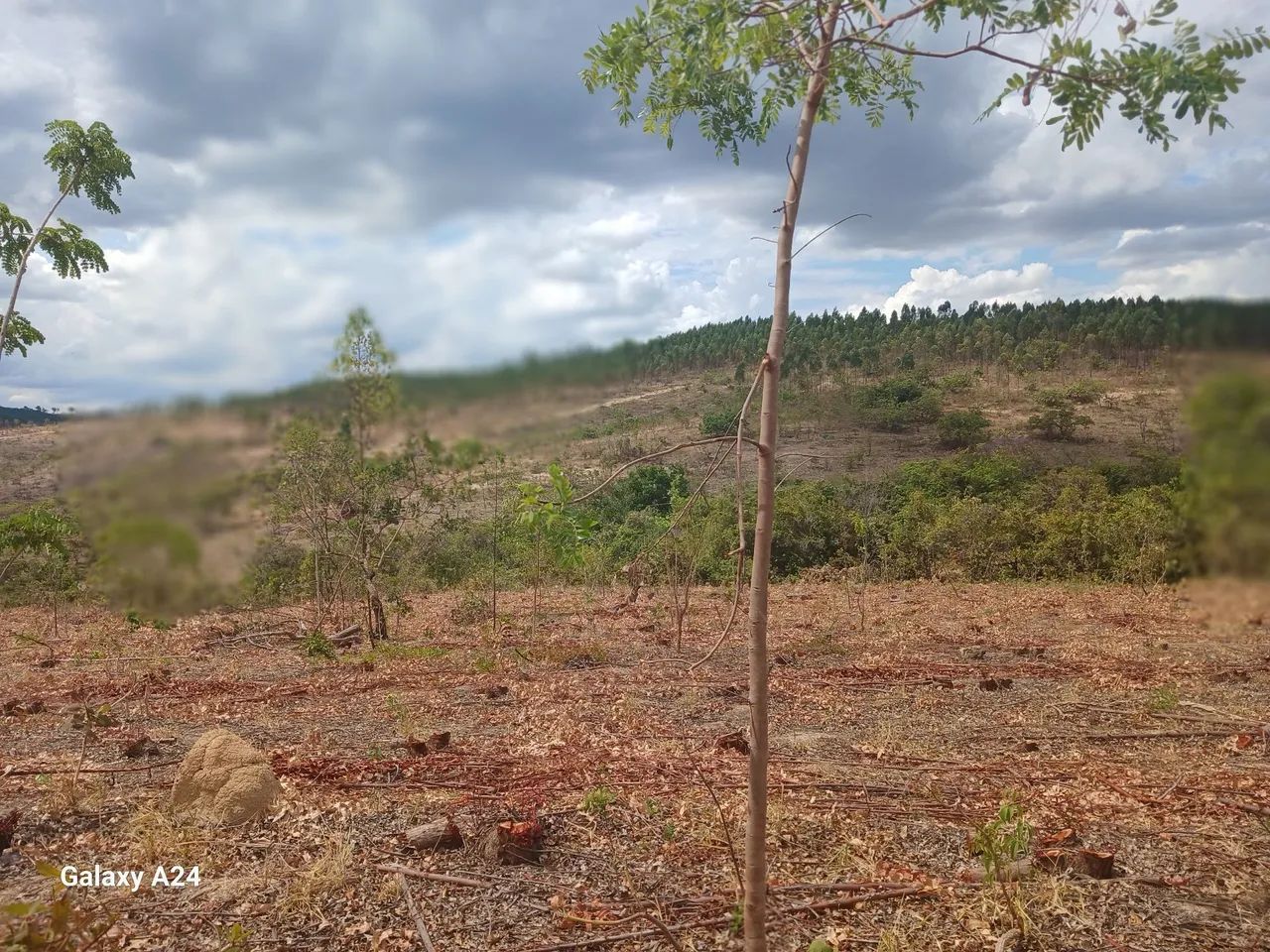 Foto - Belo Horizonte - Goiânia