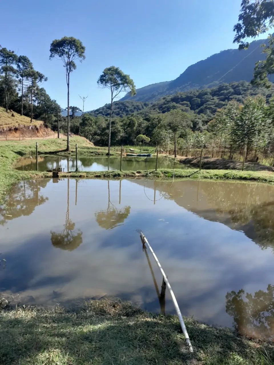 sitio 4 alqueires com muita água em Joanópolis SP - Foto 5