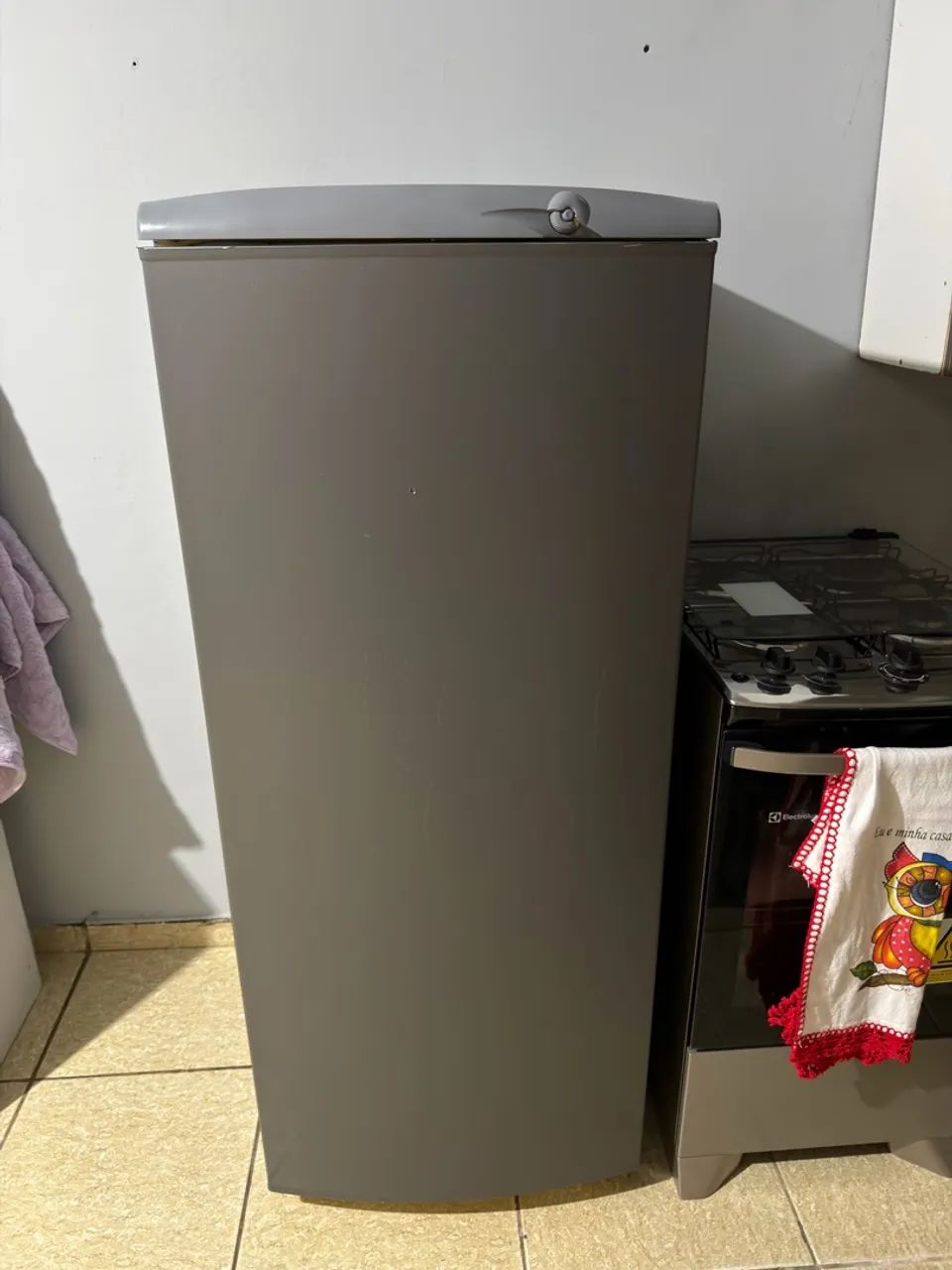 Geladeira - Foto 2