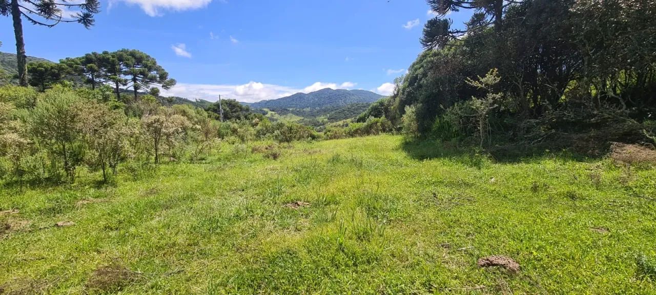 Urubici- Serra Catarinense- 42600 m² - Foto 5