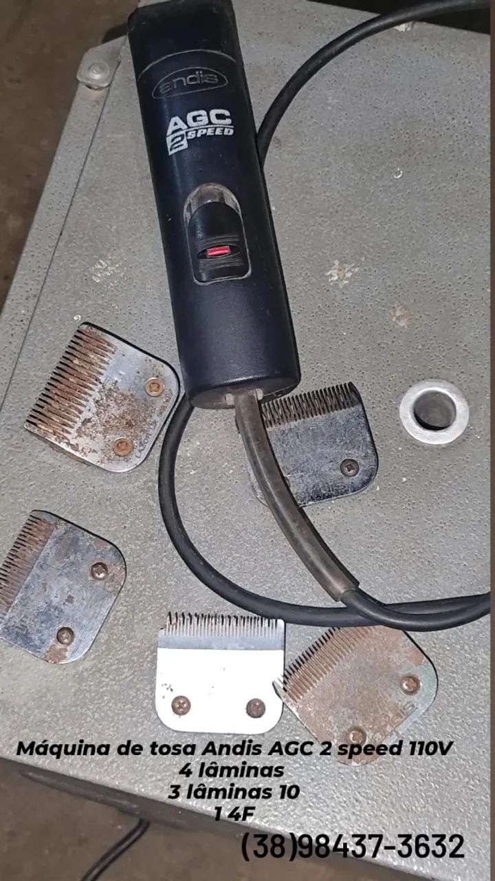 Equipamentos para pet shop