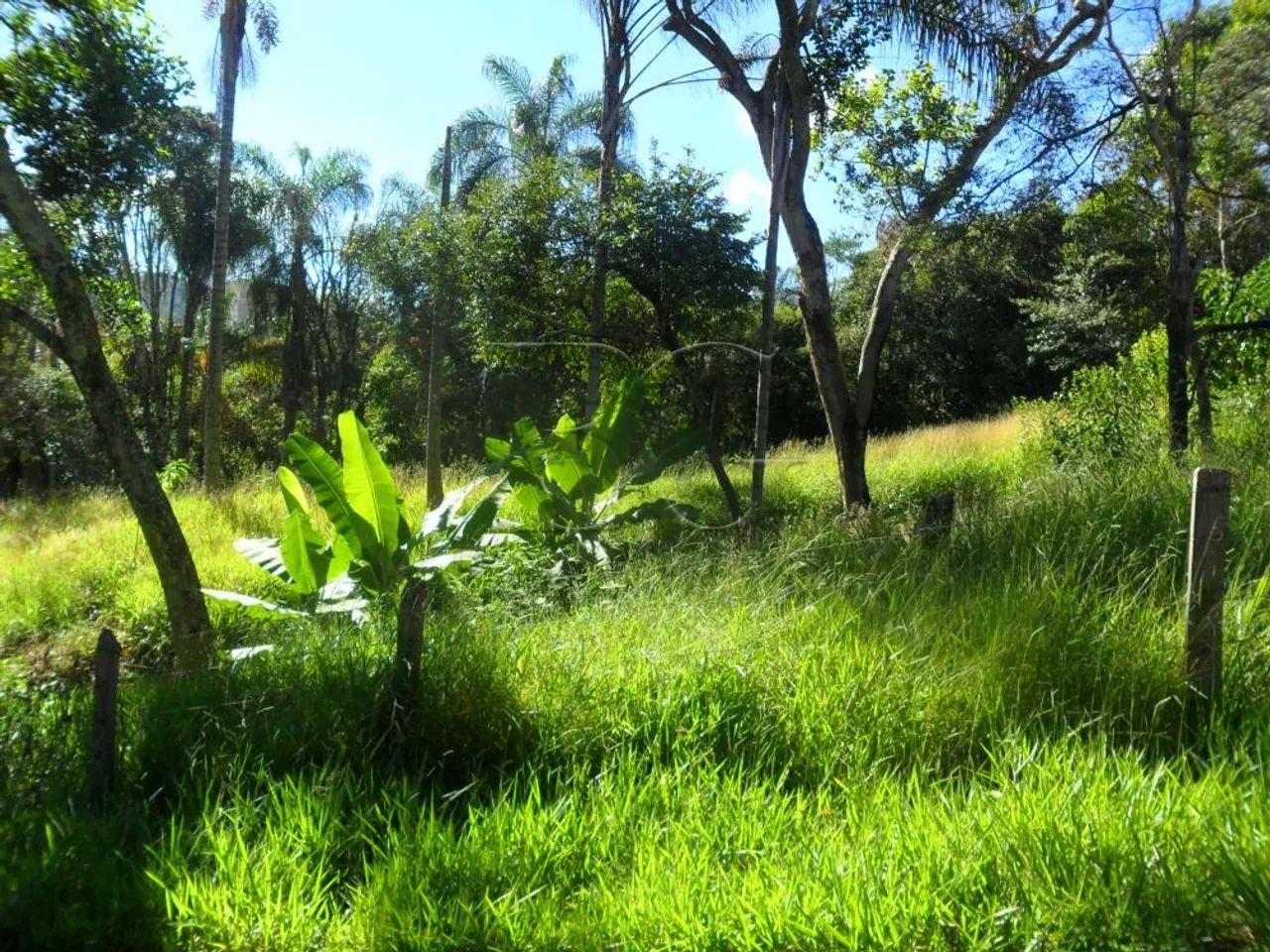 Terrenos Padrão em Poços de Caldas - Foto 4