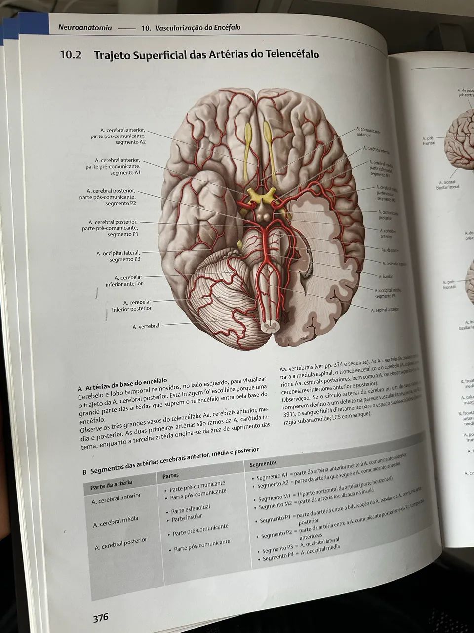 Atlas de Anatomia Prometheus 4º edição - Livros e revistas - Setor