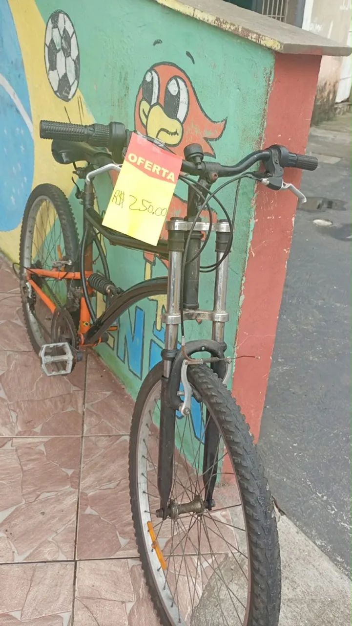 Bicicleta 