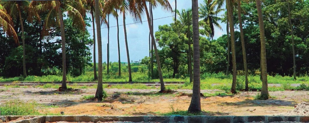 Terrenos em porto de Galinhas ! - Foto 4