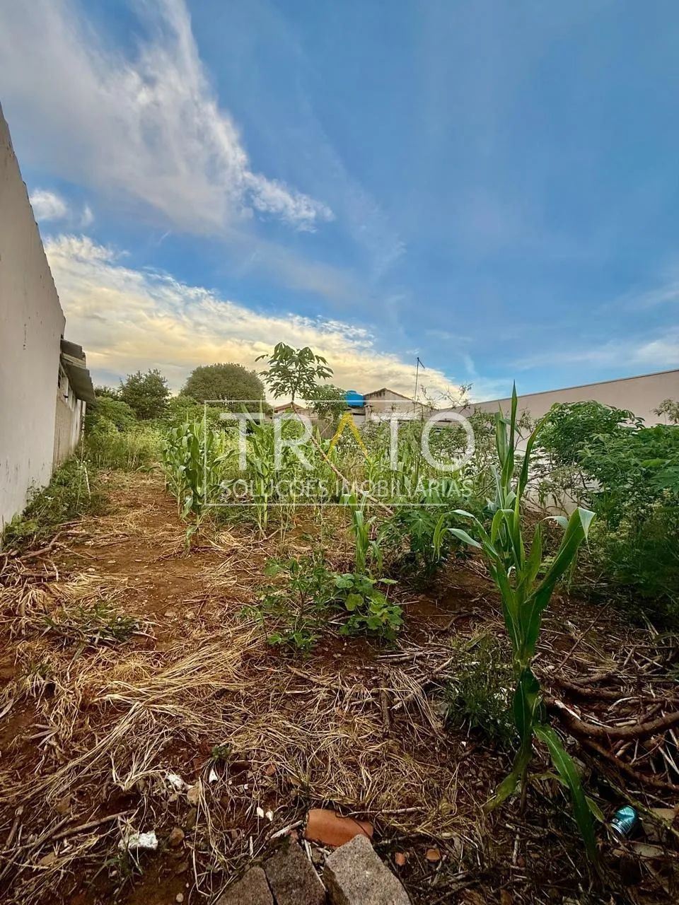 terreno - Cidade Jardim - Campinas - Foto 3